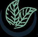 Rayhoon Persian Kabob House – NJ